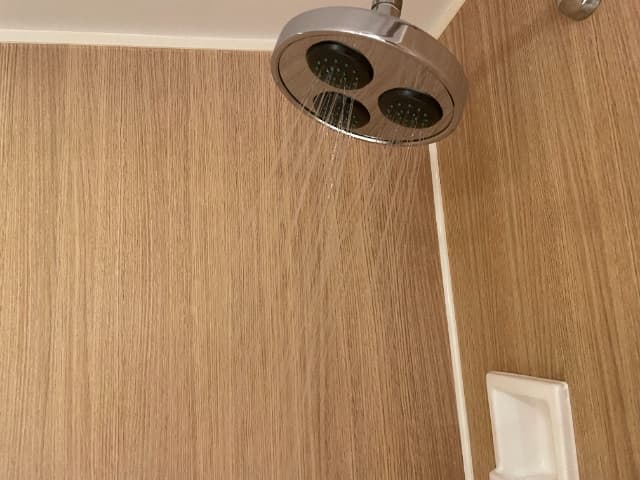 舞浜駅周辺にあるヒルトン東京ベイのヒルトンルームのオーバーヘッドシャワー
