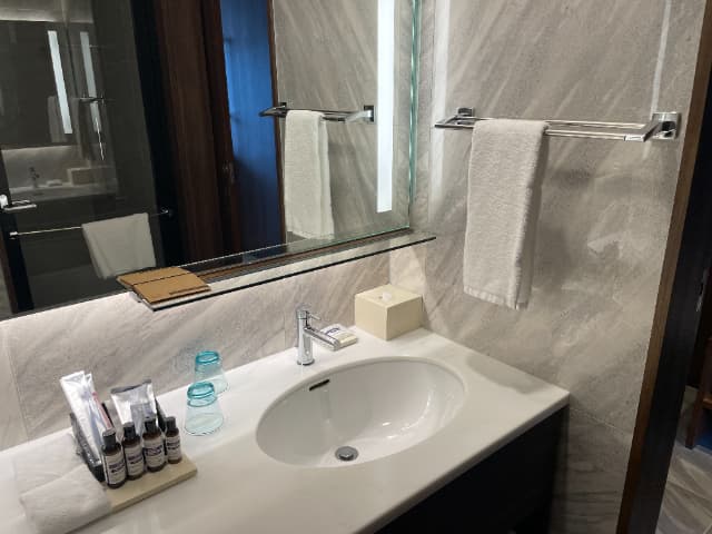 ハイアットリージェンシー東京ベイの洗面台と鏡