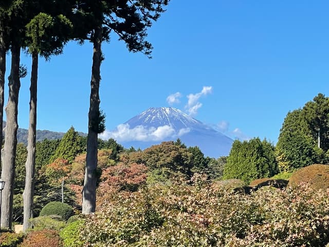 山のホテルの庭園からの富士山