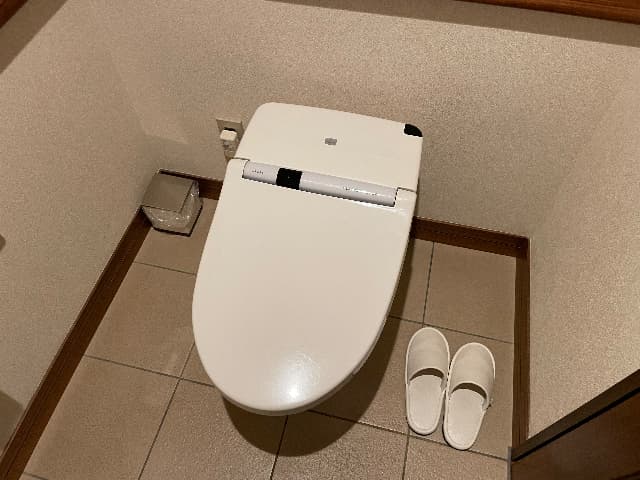 山のホテルのプレミアムツインの独立したトイレ