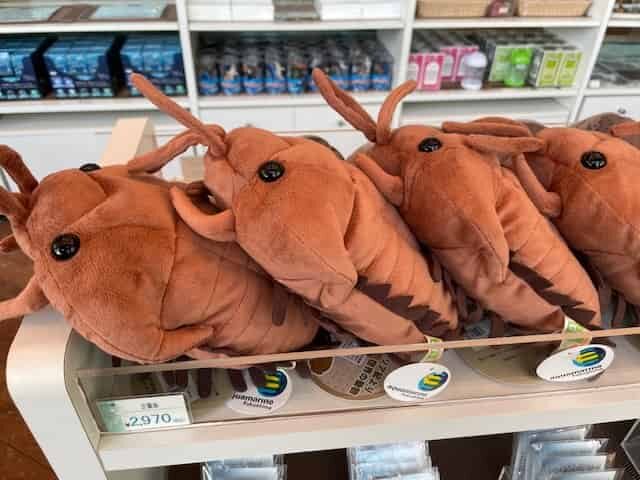 お土産屋さんの三葉虫のぬいぐるみ